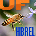 We are the @UFIFAS Honey Bee Research and Extension Lab. Follow us for research updates and all things bees!  (RTs, links & follows don't = endorsements)