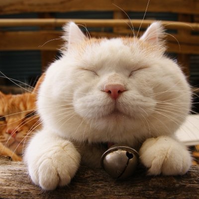 YuriyNemles's profile picture. ЯRiTi-FiLMS