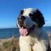 Henry St. Bernard (@henrystbernard) Twitter profile photo Henry St. Bernard (@henrystbernard) Twitter profile photo