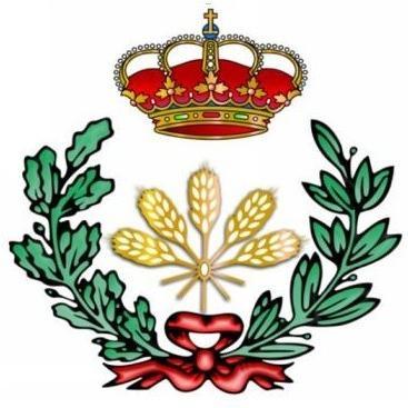 Trabajos de ingeniería: proyectos, informes periciales, valoraciones, tramitaciones de expropiaciones, dirección de obra, ejecución de obras, etc