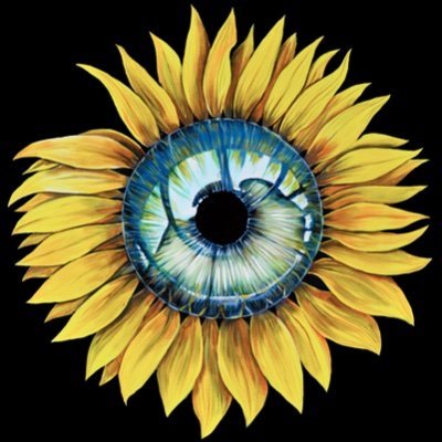 HamidHarmony's profile picture. 2&1 » /dev/null
