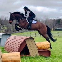 CDN Eventer(@CDNeventerr) 's Twitter Profile Photo