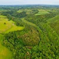 Forest Research Climate Change (@fr_ccrg) 's Twitter Profile Photo