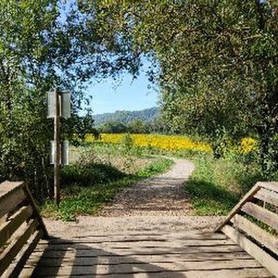 SerenaOlivaCasa's profile picture. 