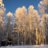 Fairbanks Daily News-Miner writer