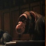 SnajperView's profile picture. 