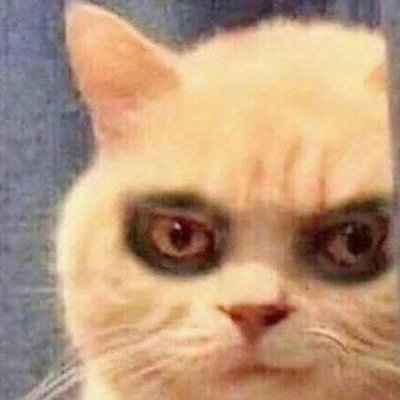 DemetraGioppi's profile picture. 