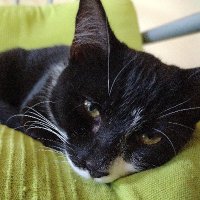 Jason Hilton (@j_d_hilton) 's Twitter Profile