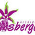 Lansbergen Orchidee (@firmalansbergen) Twitter profile photo