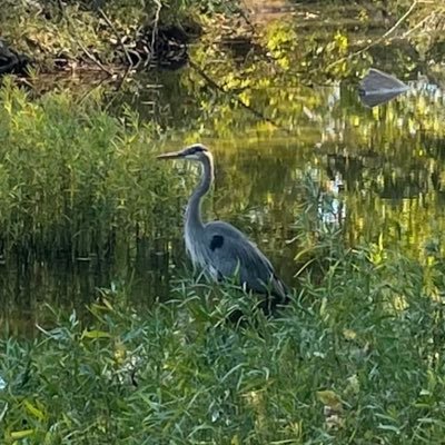 SammyNize's profile picture. in the process of growth, the oak is not better than the acorn