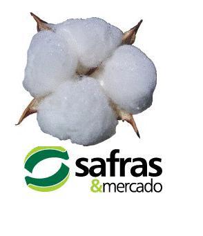 Análise e notícias do mercado de Algodão. | Analysis and news about cotton market | Porto Alegre - Brazil - SAFRAS & Mercado / Grupo CMA
http://t.co/KES4xnRk