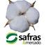 Safras&Mercado (@safras_algodao) Twitter profile photo
