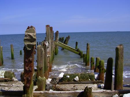 sams1stsackrace's profile picture. 