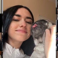 Ari (@tiltedari) 's Twitter Profile