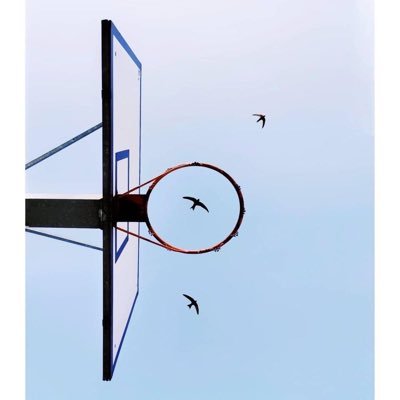 Basketball & Computer Engineering