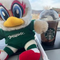 はる (@t_h_yamaga) 's Twitter Profile