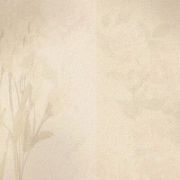 💯 (@m_r_a9090) 's Twitter Profile