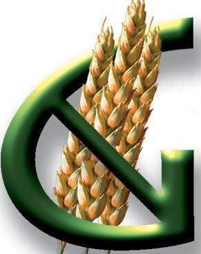 GNIBakery's profile picture. Healthy & Delicious All Natural Gluten Free Baking Company Bringing The Very Best GF Breads & Pastry To You