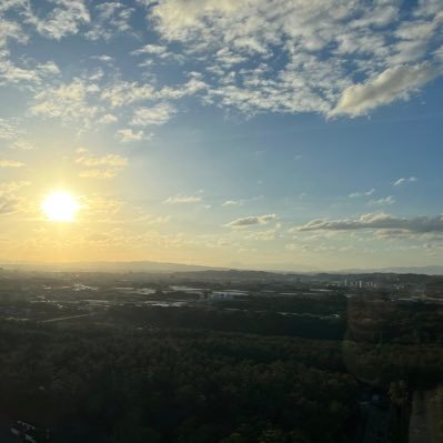 mamo12122022's profile picture. アラフィフ、レス、一期一会を大切に