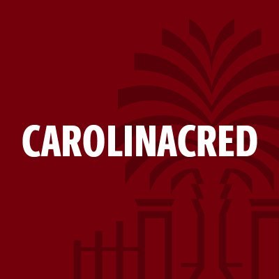 CarolinaCrED delivers a range of customized supports for capacity-building that accelerate opportunities for professional learners and leaders.