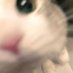 darla (@starlindarl) Twitter profile photo darla (@starlindarl) Twitter profile photo