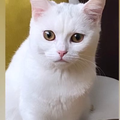 boztr55's profile picture. 