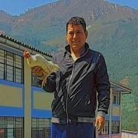 Wilmer GP (@wilmergp8) 's Twitter Profile