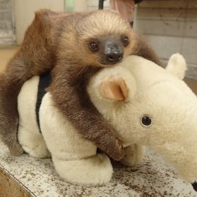 creativemiruyo's profile picture. 