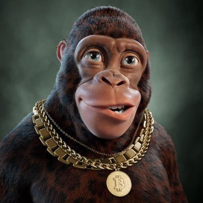 #Crypto Investor | Fundamental Analyst | Technical Trader | Fitness & Fun | I Won’t DM You.#Bitcoin #BTC $BTC