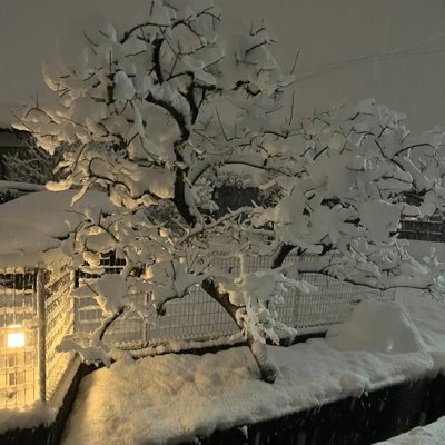 koropom's profile picture. 海外移住が夢
仕事せず自由に生活がしたい
映画情報など集めます