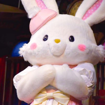 ♡サンリオ♡ウィッシュミーメル♡こぎみゅん♡ ピューロ年パス🌈 ハーモニー年パス ハロスイ ♡成人済👩 🍮ほかにもすきなことポストします🐱💥🏐🕰️