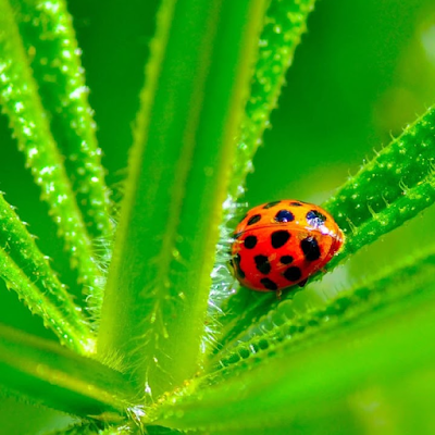 samlab08555692's profile picture. Free thinker and  common sense