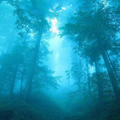 Xtra_LiteR's profile picture. NSFW ~Fat Stuff, MINORS DNI~