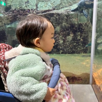 haru0322ayaka's profile picture. 1歳と発達ゆっくり4歳の男の子👦療育手帳取得しました🐢同じ境遇の方、お得情報の方をフォローさせて頂いています🥺❤️ポストはたまに‥みなさんの情報ありがとうございます🙇‍♀