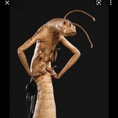 XXXR8T3D's profile picture. Follow me if you grown