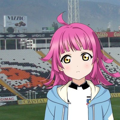 Estudiante de Medicina - Fan del anime - Amante de los autos - Fan de Love Live y Precure - Testigo del último CHASE! de Tomori - Socio CSD Colo-Colo