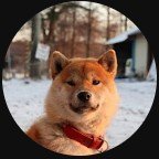 柴犬コロとマルの動画を午前6時にYou Tubeに投稿してます。コロはオス(6歳)、マルはメス(9歳)です!
Koro is a male (6 yrs old) and Maru is a female (9 yrs old)!