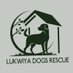 lukwiya dogs rescue (@LukwiyaDogs) Twitter profile photo