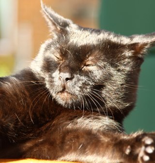 earlofbramley's profile picture. I know where my towel is.