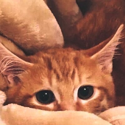 ryoumiu's profile picture. 法政/社会学部