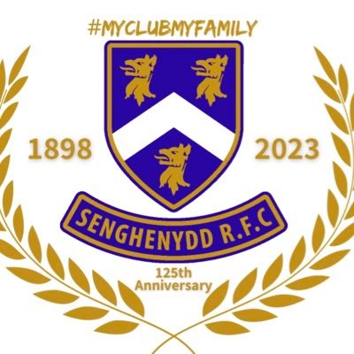 Senghenydd Mini Section Profile