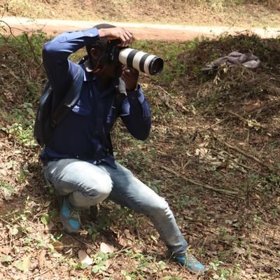 KakuleSa's profile picture. 