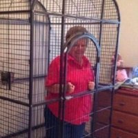 Lorkul (@lorkul1) 's Twitter Profile