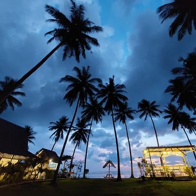 switchmood's profile picture. . bukan ,