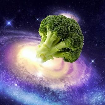 moja_broccoli