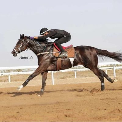 Majed40094's profile picture. الحمدلله