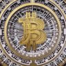 Michell6118504's profile picture. ACCOUNT MANAGER💼,FOREIGN EXCHANGE TRADER,ONLINE ASSISTANCE👩‍💻👩‍💻,TRADE MENTOR WITH 20YEARS EXPERIENCE,SUCCESSFUL RATE,REAL ESTATE AGENT 🤬