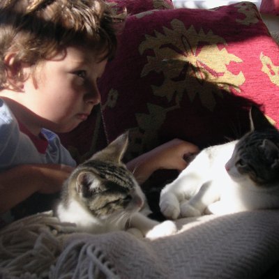 GMBenson2's profile picture. 