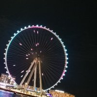 AlA (@ala44317109) Twitter profile photo