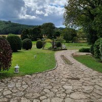 Seve (@sevedeboa) 's Twitter Profile Photo